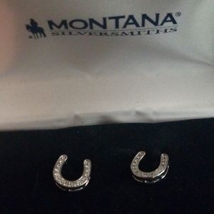 Horse shoe earrings